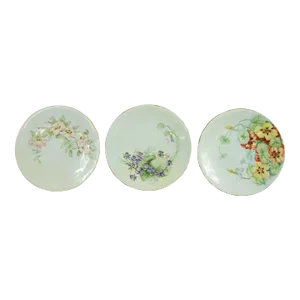 19th Century Theodore Haviland Plates- Set of 3