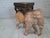 Vintage Hand-Carved Wooden Elephant Plant Stand, 1960s For Sale - Image 3 of 18