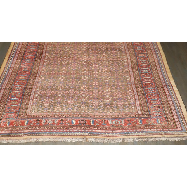 19th Century Bakshaish Square Rug, 12' X 13'7'' For Sale - Image 14 of 15