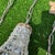 Vintage Gold Metal and Crystal Collection of Baby Pendant Lights- Set of 9 For Sale - Image 4 of 7