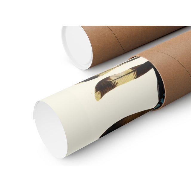 Dragonfly Insects Plate 02 by Emile-Allain Séguy, Vintage Art Print Reproduction, 18" × 24" For Sale In Buffalo - Image 6 of 6