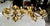 1960s 1960s French Brass Double Arm Wall Sconce - a Pair For Sale - Image 5 of 17