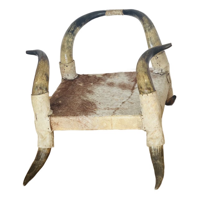 Mid 20th Century Texas Horn Cowhide Low Chair For Sale