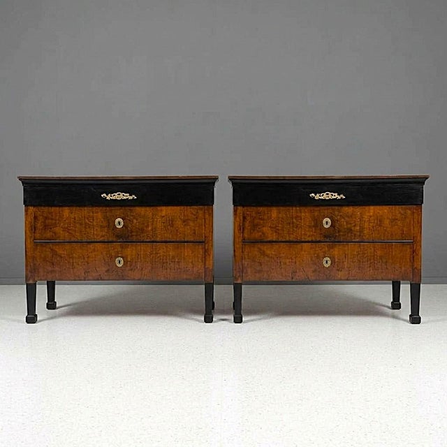 Brown Directoire Chests of Drawers in Bolognesi Walnut, 1790, Set of 2 For Sale - Image 8 of 8