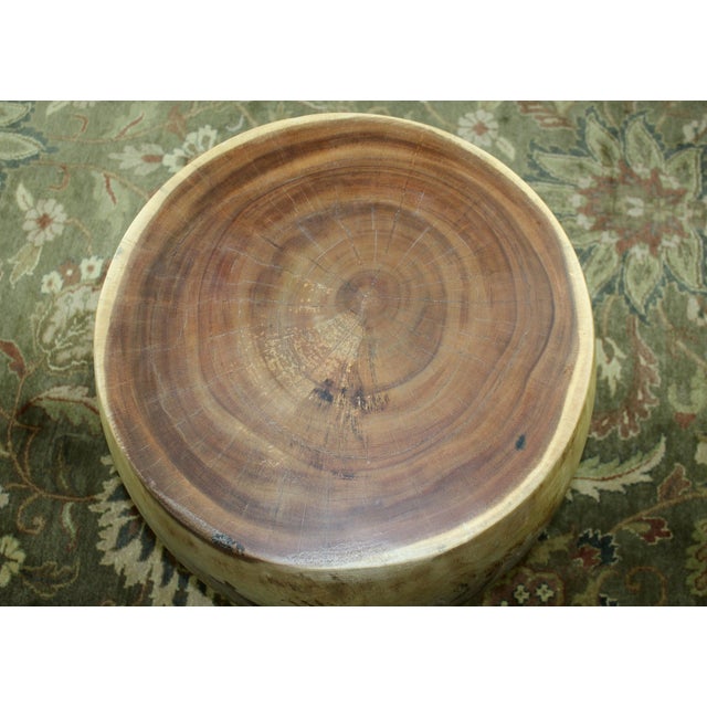 Acacia Wood Monkey Pod Drum Side Table or Stool For Sale - Image 6 of 12
