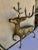 Art Deco Large Brass Deer/Stag For Sale - Image 3 of 7