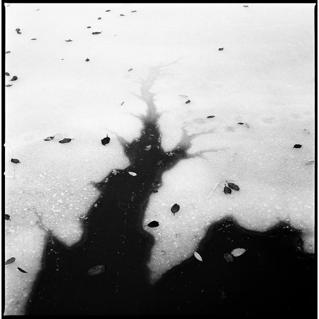 Paul Cooklin, Frozen Lake, Debenham, Edition of 50 For Sale - Image 7 of 7