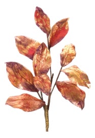 Example of Transitional Greenery
