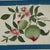 Set of Nine Antique Chinese Botanical Fruit Paintings on Pith Paper For Sale - Image 15 of 18