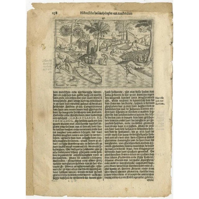 Title: Dutch Fleet at St. Helena (Calatog), Early Voyage Scene, Linschoten c.1601 : Rare early 17th-century Dutch...