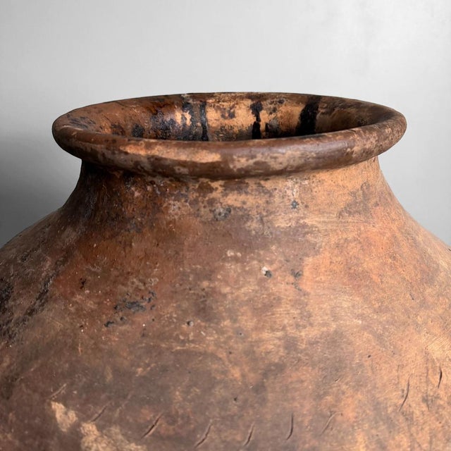 Large Antique Terracotta Jar, Portugal, 1900-1930 For Sale - Image 13 of 16