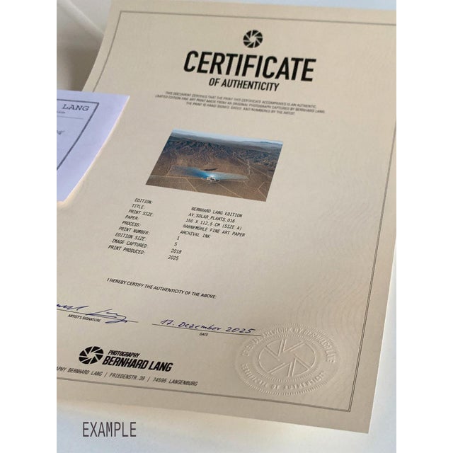 Blue "AV_Solar_Plants_015" Contemporary Limited Edition Fine Art Photograph by Bernhard Lang For Sale - Image 8 of 8