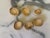 Antique Italian Grand Tour Plaster Intaglios - Set of 6 (Group #6) For Sale - Image 13 of 14