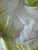 Vintage Glazed Ceramic Owl Planter Cachepot in White and Lime Green For Sale In Naples, FL - Image 6 of 11