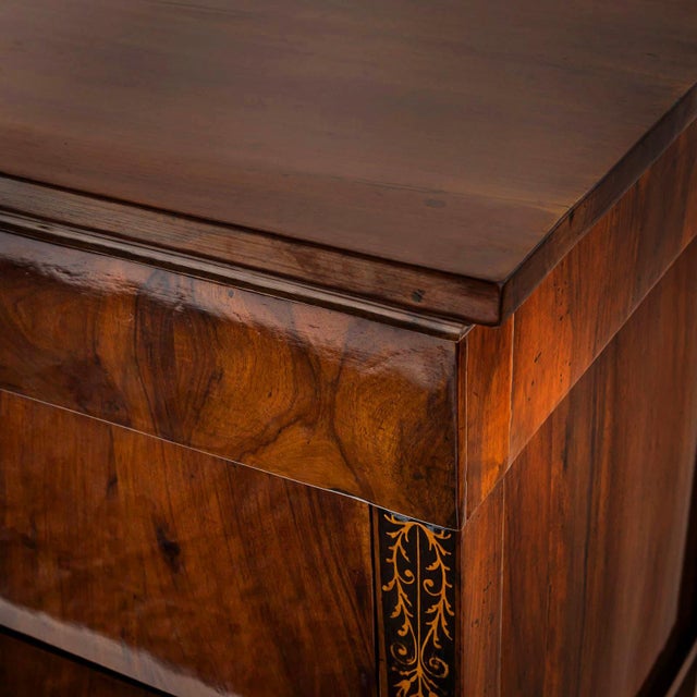 Maroon Antique Italian Chest of Drawers, 1830 For Sale - Image 8 of 11