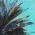 Realism Aqua Alive - Tall Skinny Palm Tree Landscape Painting on Canvas - Original Artwork by Kathleen Keifer For Sale - Image 3 of 9