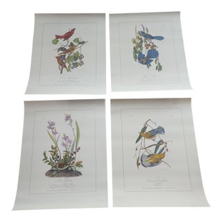 Mid Century Audubon's Birds of America Trident Press Prints - Set of Four For Sale