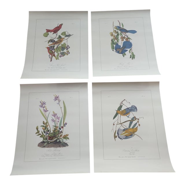 Mid Century Audubon's Birds of America Trident Press Prints - Set of Four For Sale