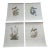 Mid Century Audubon's Birds of America Trident Press Prints - Set of Four For Sale
