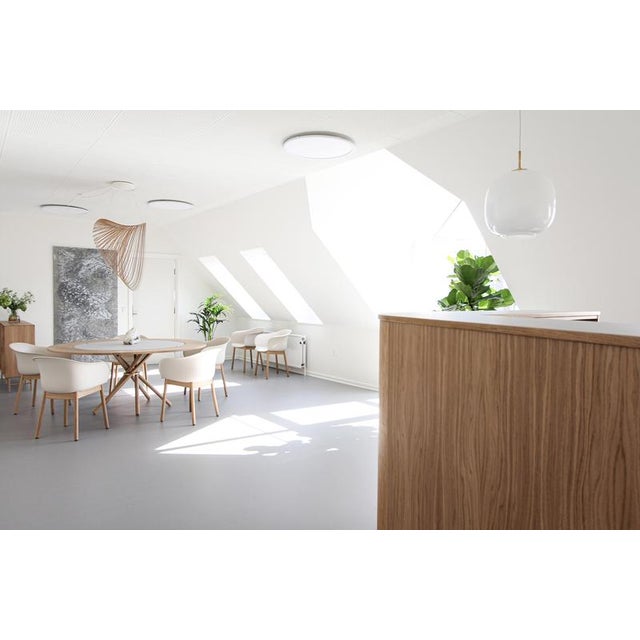 Hector Concrete Top and Light Oak Legs Dining Table 120 by Eberhart Furniture For Sale - Image 6 of 12