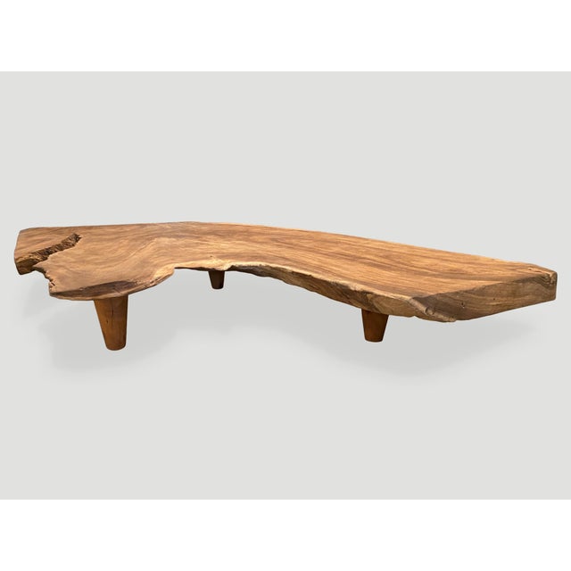 Andrianna Shamaris Massive Single Slab Suar Wood Live Edge Coffee Table For Sale - Image 17 of 18
