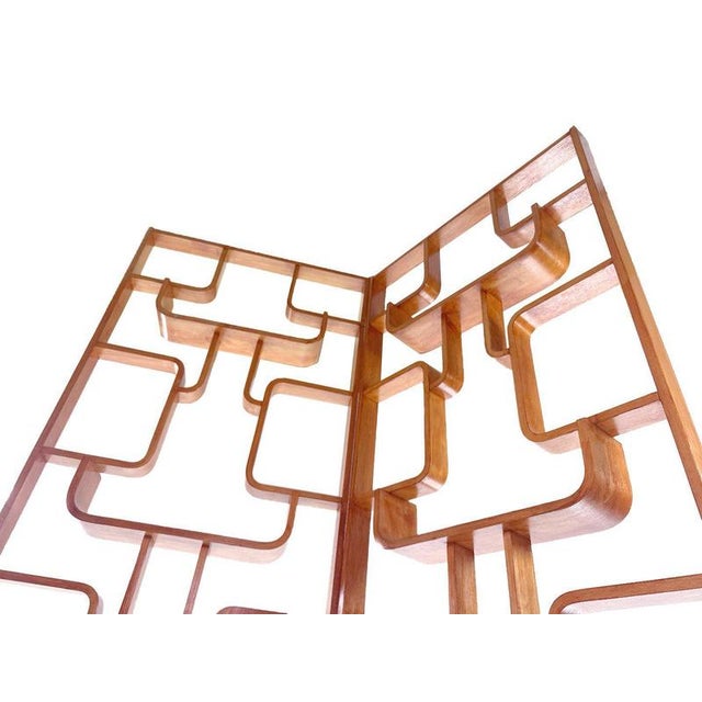1960s Vintage Room Divider by Ludvík Volák, 1960s For Sale - Image 5 of 16