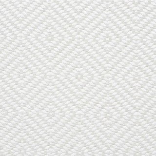 Schumacher Montane Fabric in Ivory For Sale