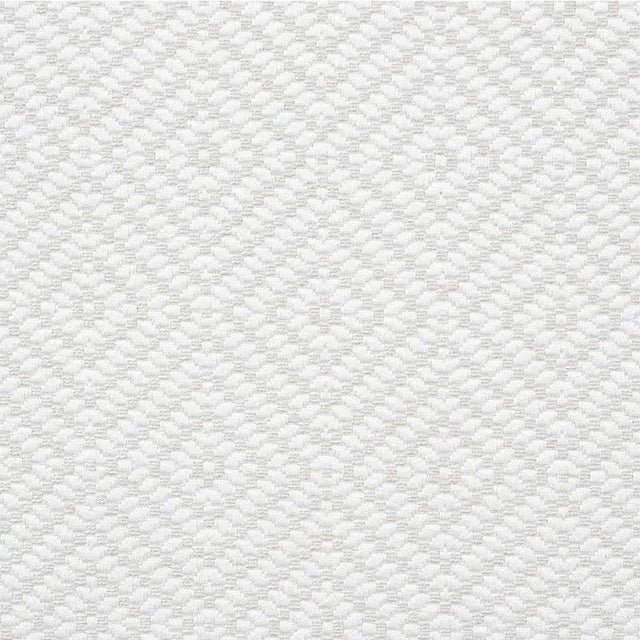Schumacher Montane Fabric in Ivory For Sale