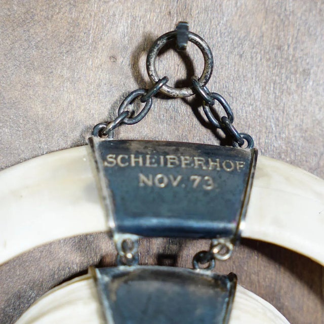 Vintage Wild Boar Trophy on Wooden Plaque, Germany 1970s For Sale - Image 6 of 7