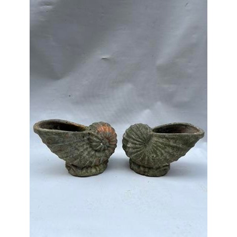 A pair of terra cotta nautilus shell form planters.