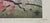 1990s Original Lithograph of a Bird and Butterfly by Fiona Watson For Sale - Image 5 of 8