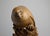 Japanese Meiji Period Carved Boxwood Okimono of a Hawk, Joel & Margaret Chen Collection For Sale - Image 4 of 15