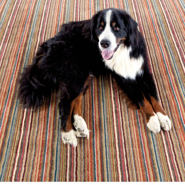 Contemporary Dash & Albert by Annie Selke Brindle Stripe Spice Loom Knotted Wool Rug, 7' 6" x 9' 6" For Sale - Image 3 of 6