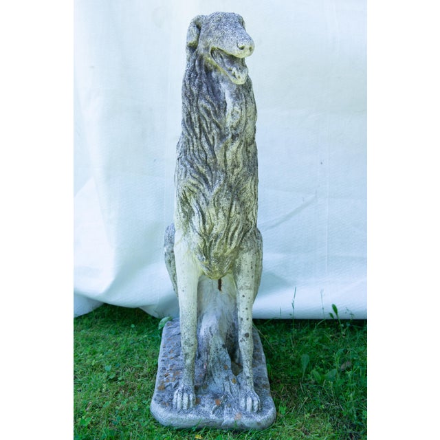 Pair of European 1930s Life Size Borzoi Russian Wolfhound Dogs For Sale - Image 10 of 12