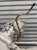 Late 19th Century Antique Wooden Rocking Horse For Sale - Image 5 of 12