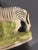 Rare Staffordshire Figure of a Zebra, Early 19th Century For Sale In Philadelphia - Image 6 of 10