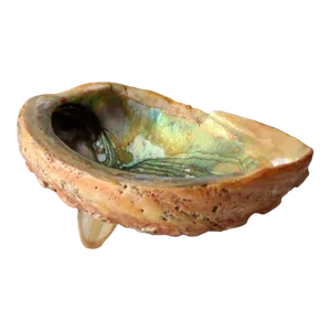 Mid Century Abalone Shell Footed Bowl