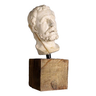 Girolamo Ticciati, Male Head with Beard and Wavy Hair, 18th Century, Marble For Sale