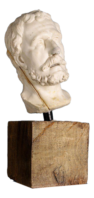 Girolamo Ticciati, Male Head with Beard and Wavy Hair, 18th Century, Marble