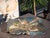 Blue Wings of Freedom Wall Sculpture in Raku Ceramic from Stefania Zoppellaro, 2025 For Sale - Image 8 of 9