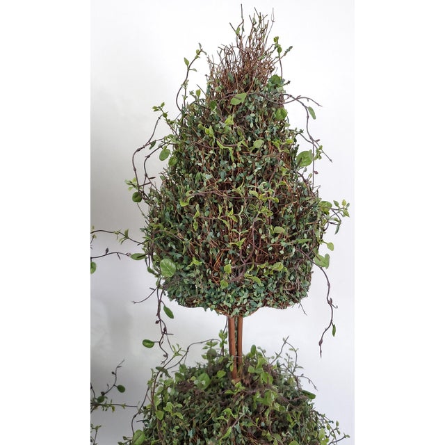 Topiary Boxwood Pair - No Lemons For Sale In Miami - Image 6 of 9