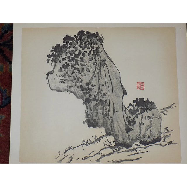 Realism Vintage Signed Chinese Botanical Color Lithographs - a Pair For Sale - Image 3 of 8