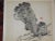 Realism Vintage Signed Chinese Botanical Color Lithographs - a Pair For Sale - Image 3 of 8