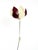 Metal Symanka-Sy 1 Floor Lamp by Günter Ssymmank, Germany, 1959 For Sale - Image 7 of 18
