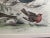 Realism 1852 Antique Bird Print - Hand Colored Engraving For Sale - Image 3 of 8