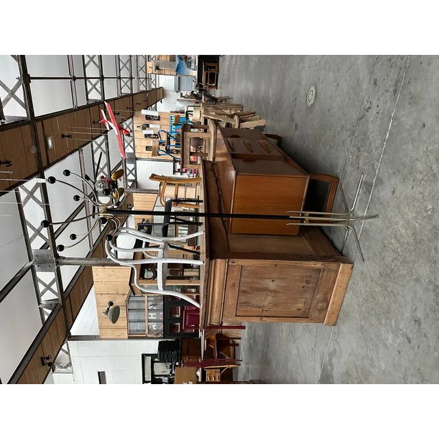 Vintage Perroquet Coat Rack, 1950s For Sale - Image 10 of 12