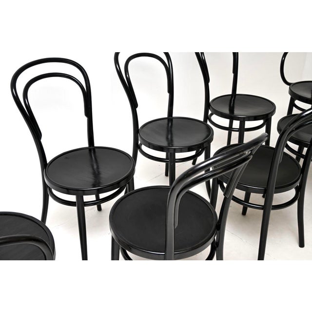 Mid-Century Modern Vintage Bentwood Dining Chairs from ZPM Radomsko, 1960, Set of 8 For Sale - Image 3 of 13