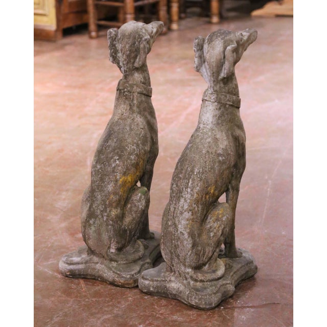 Stone Pair of Vintage French Outdoor Weathered Carved Stone Greyhound Dog Sculptures For Sale - Image 7 of 8