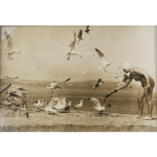 On the Beach With the Seagulls, Circa 1930 - Silver Gelatin B & W Photography For Sale