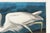 Great White Heron, Vintage Art Print Reproduction From Birds of America by John James Audubon, 36″ × 24" For Sale In Buffalo - Image 6 of 8